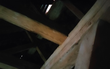 IMG20220223114856