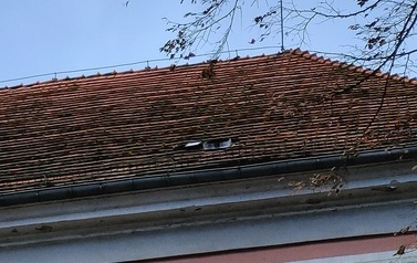 IMG20220223071608