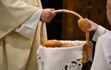 DSC_6551